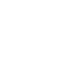 Handshake Icon