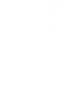 SLR Logo Watermark